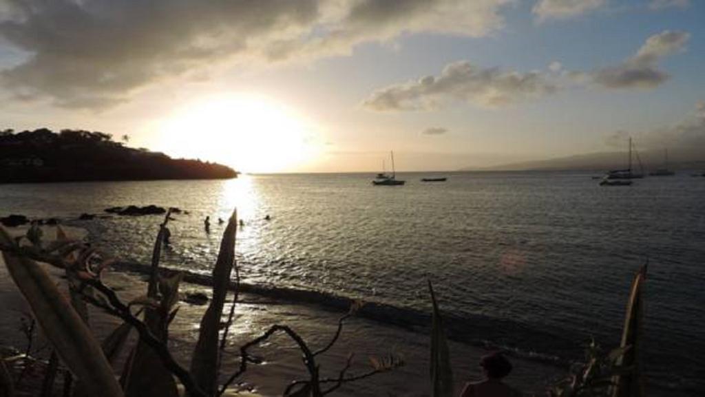 Apartmán Ocean Bayalocation L'Anse Mitan Exteriér fotografie